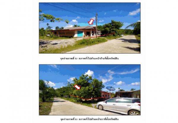 ��º�ҹ �͹�ѡ ����ɮ��ҹ�