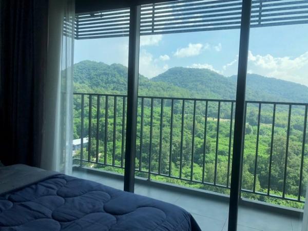 �͹������� ����Ҫ� �ź���