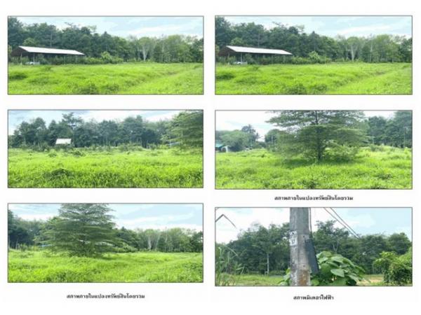 ��º�ҹ ����ʧ ����ɮ��ҹ�