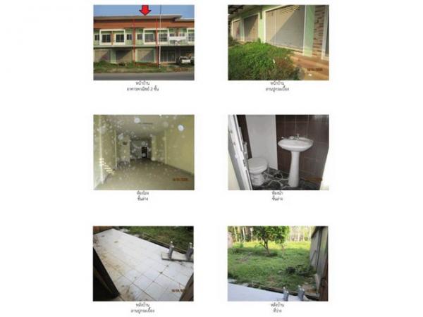 ����Ҥ�þҳԪ�� ����ʧ ����ɮ��ҹ�