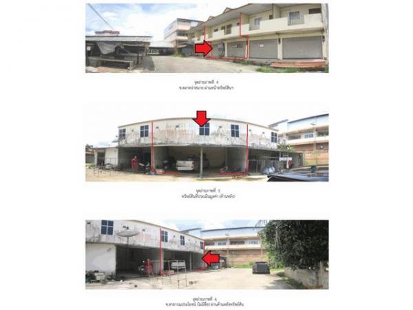 ����Ҥ�þҳԪ�� ��º��� ����ɮ��ҹ�