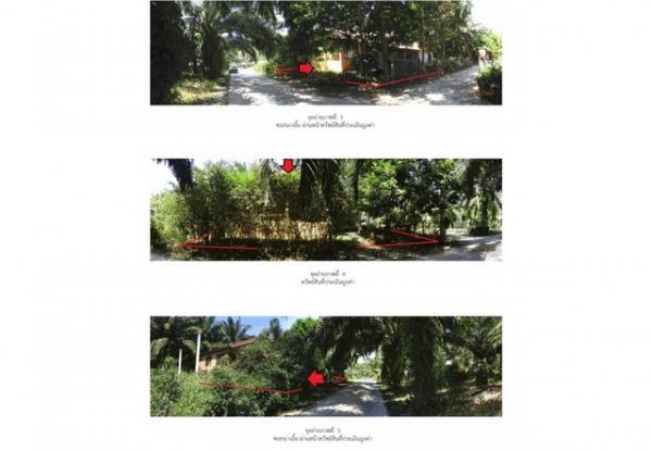 ��º�ҹ ����ʧ ����ɮ��ҹ�