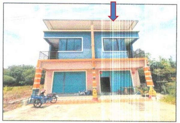 ����Ҥ�þҳԪ�� ����ʧ ����ɮ��ҹ�