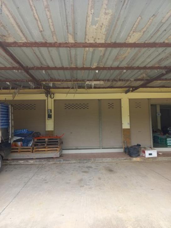 ����Ҥ�þҳԪ�� �ع�Թ ����ɮ��ҹ�