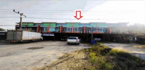 ����Ҥ�þҳԪ�� �ع�Թ ����ɮ��ҹ�