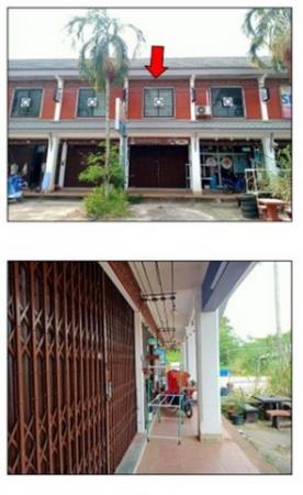 ����Ҥ�þҳԪ�� �ع�Թ ����ɮ��ҹ�