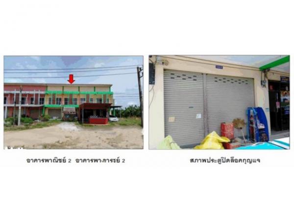 ����Ҥ�þҳԪ�� ���§��� ����ɮ��ҹ�