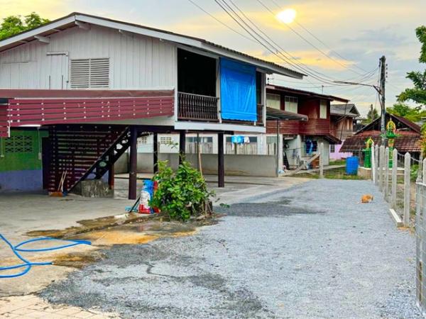 ��ҹ������ �͹��� ��û��