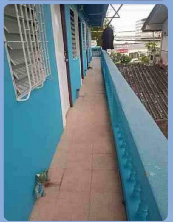 ;鹷 ͧ 