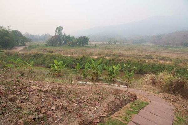 ��ҹ������ ������ ��§����