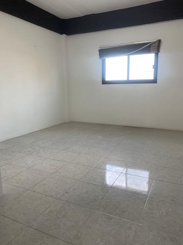 ����Ҥ�þҳԪ�� �Ҵ������� �����ҹ�