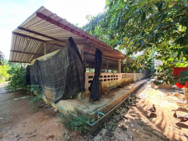 ��º�ҹ �Ԫ� �����ո����Ҫ