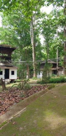 ��º�ҹ ������ ��§����