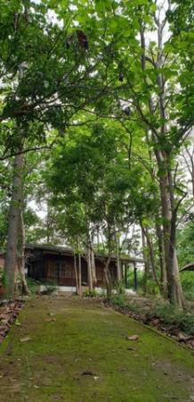 ��º�ҹ ������ ��§����