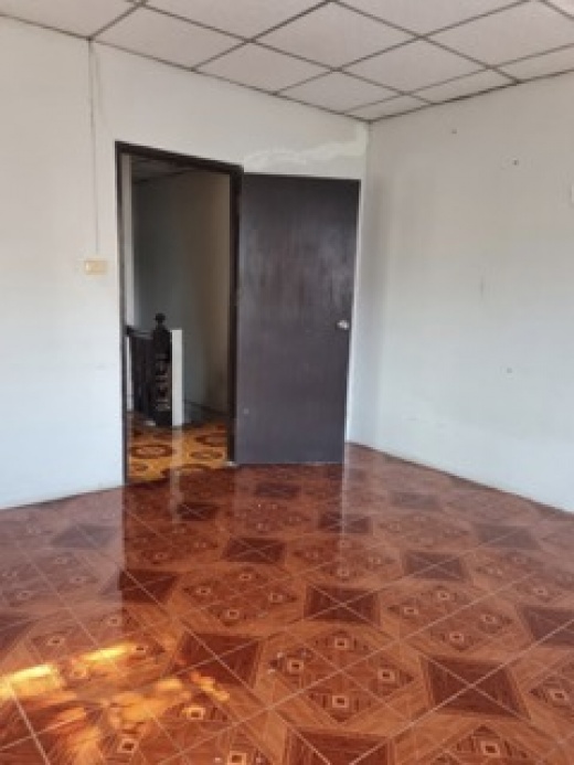 ǹ ֧