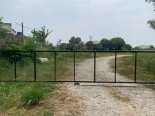 Ծó ح͹