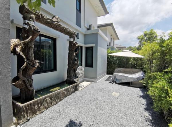 ��ҹ������ �ҧ��� ��طû�ҡ��