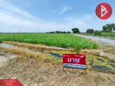 The Best Property