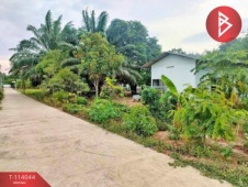 The Best Property