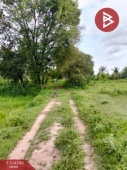 The Best Property