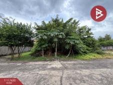 The Best Property