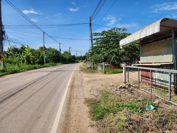 ��º�ҹ ���ͧ��ᾧྪ� ��ᾧྪ�