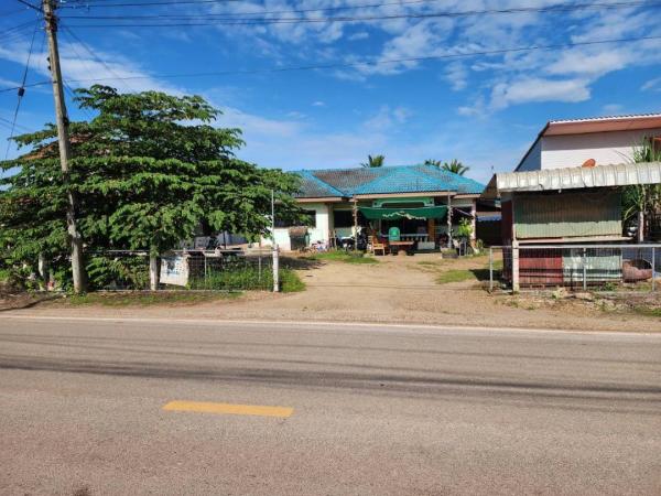 ��º�ҹ ���ͧ��ᾧྪ� ��ᾧྪ�