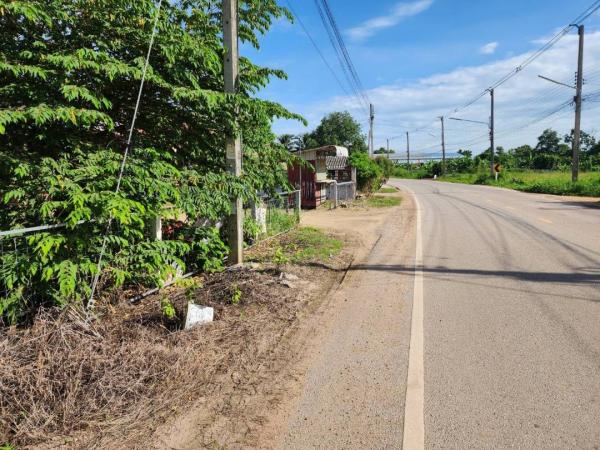 ��º�ҹ ���ͧ��ᾧྪ� ��ᾧྪ�