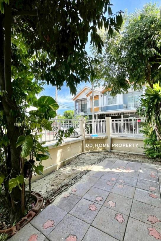 ��º�ҹ �ù��� �������