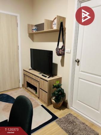 ��¤͹� �ҹ�ͧ �ź���