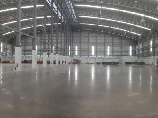 �ç�ҹ������ ˹ͧ�͡��ا෾