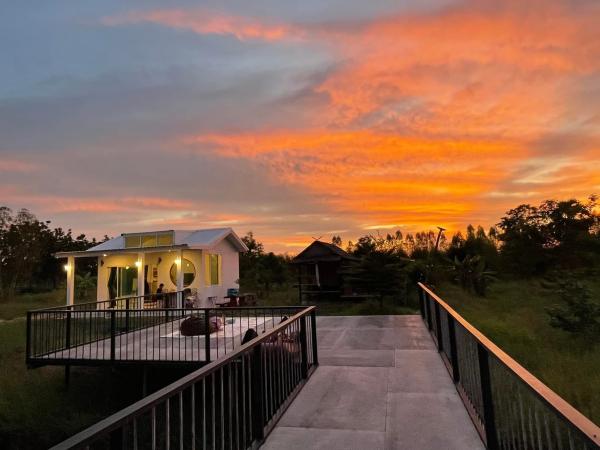 ��º�ҹ ��ҹ�ҧ �͹��