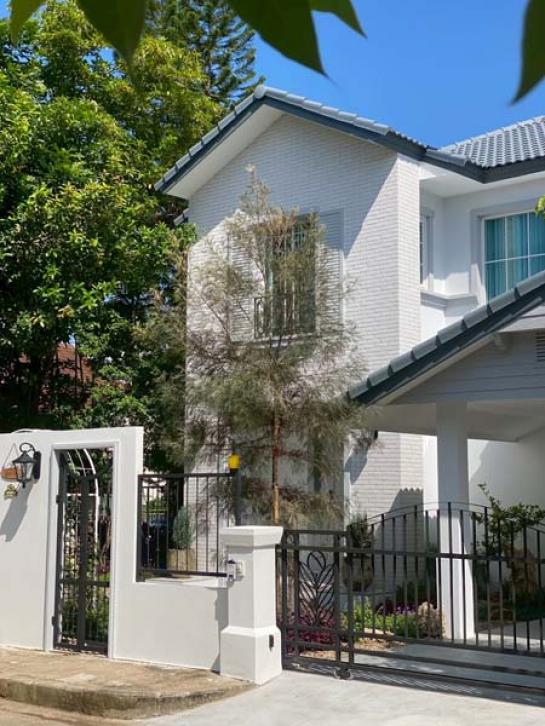 ��º�ҹ �ѹ���� ��§����