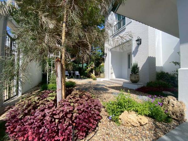 ��º�ҹ �ѹ���� ��§����