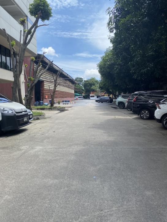 ⡴ѧ������ �ҧ��������ا෾