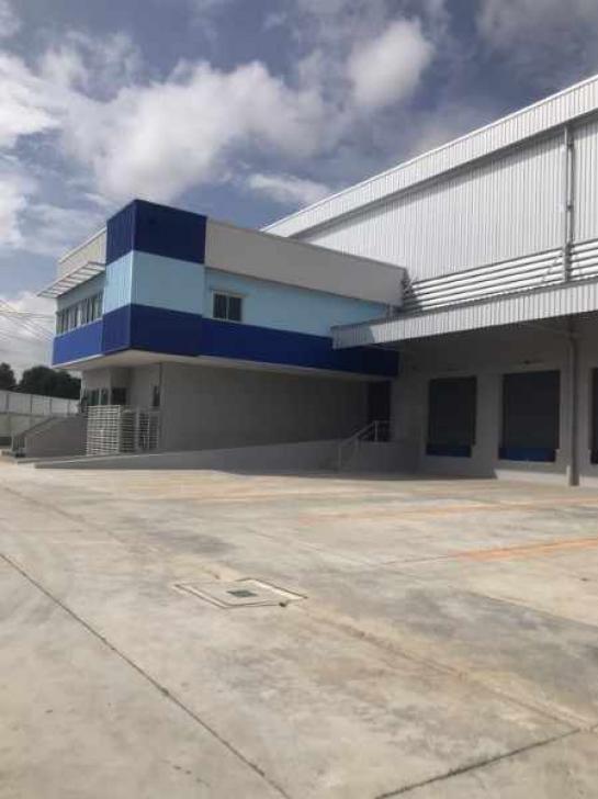 ��ѧ�Թ��������� ����Ҫ� �ź���