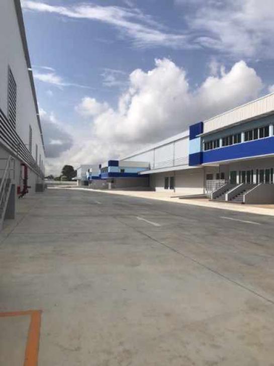 ��ѧ�Թ��������� ����Ҫ� �ź���