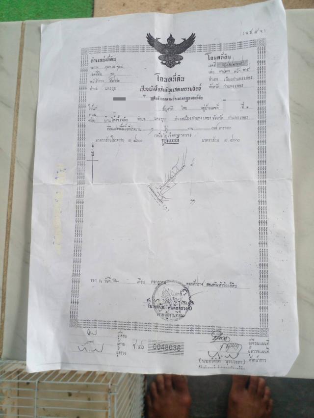 ��º�ҹ ���ͧ��ᾧྪ� ��ᾧྪ�