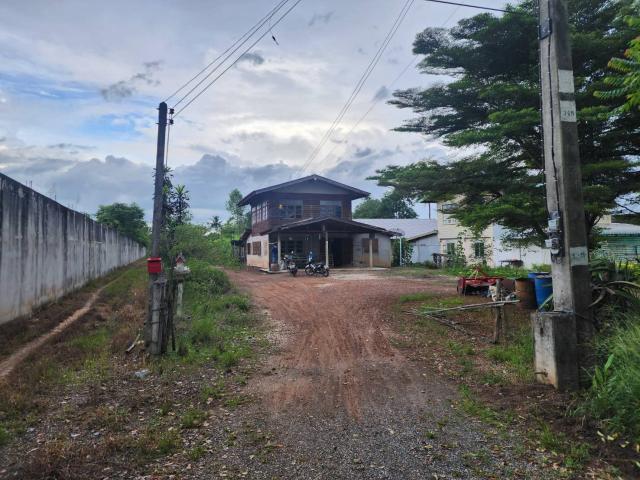 ��º�ҹ ���ͧ��ᾧྪ� ��ᾧྪ�