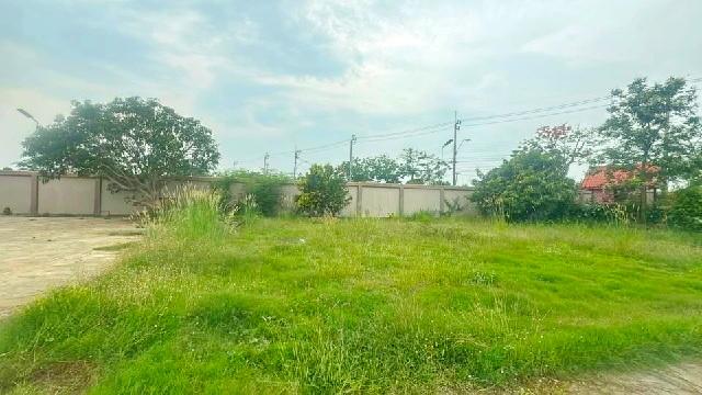 �ç�ҹ������ ˹ͧ�͡��ا෾