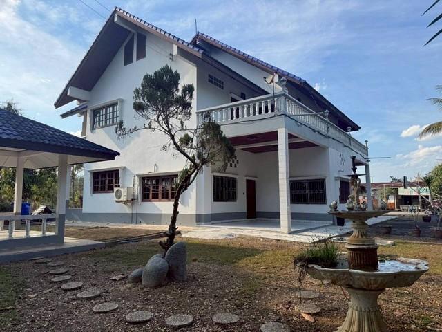 ��º�ҹ ��§�ҹ ���