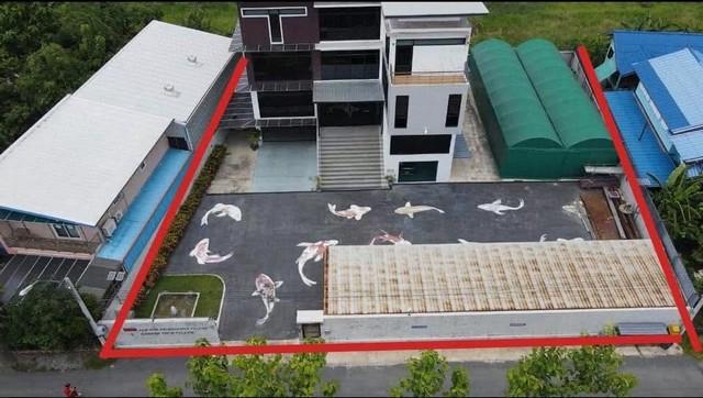 ����ӹѡ�ҹ �ҧࢹ��ا෾