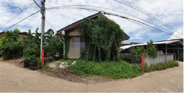 ��º�ҹ ��§�ҹ ���