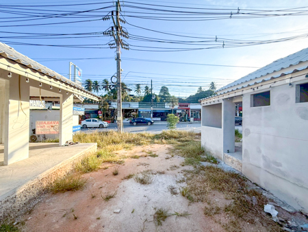 �Ҥ�þҳԪ�������� ������� ����ɮ��ҹ�