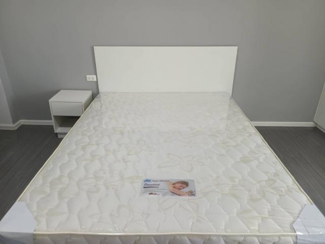 �͹������� �֧������ا෾