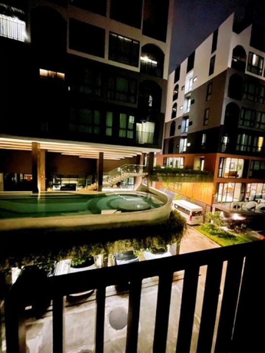 ��¤͹� �ط����� ��û��