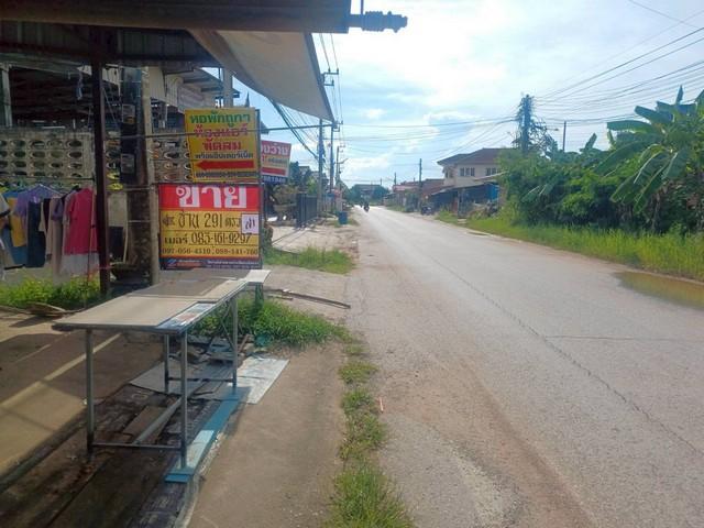 ��º�ҹ ���ͧ��ɳ��š ��ɳ��š