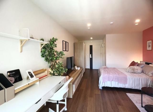 ��¤͹� �ҧ�͹��ا෾