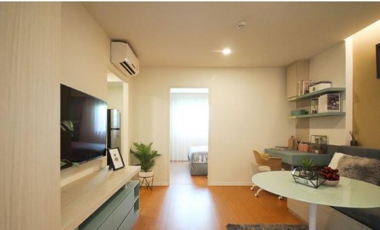 ��¤͹� �ҧ�͹��ا෾