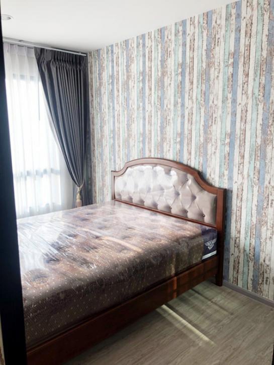 �͹������� ��������ا෾